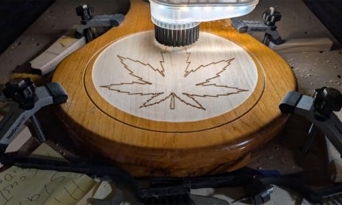 420-leaf18B92E4EB-E56E-DFDD-5655-149EFE5F23F0.jpg